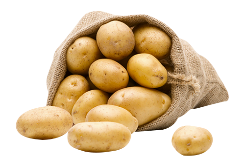 Sac de pommes de terre du producteur