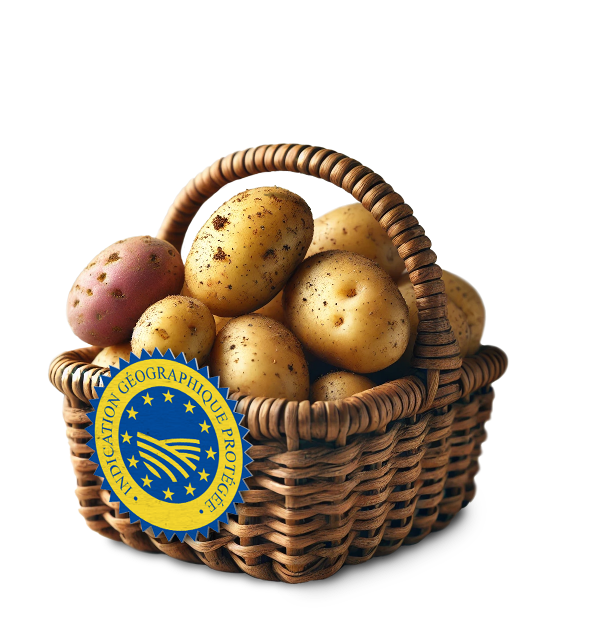 Pomme de terre label IGP